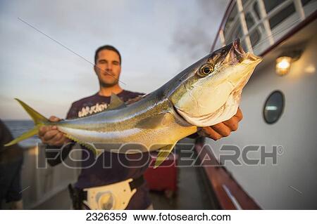 Stock Photo - Man holding blue runner fish; Corpus christi texas usa. Fotosearch