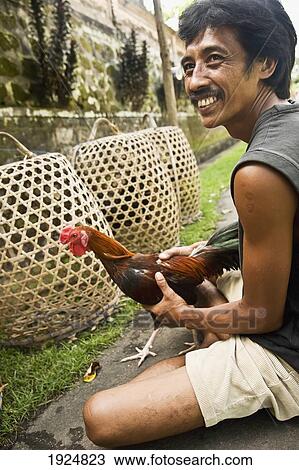 Stock Image - Man Holding Fighting Cock. Fotosearch