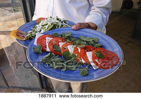 Man Holding Plate Of Cheese, Tomato, And Thyme SaladMan Holding Tomato, Thyme, And Cheese Salad View Large Photo Image Stock Image - Man Holding Plate Of Cheese, Tomato, And Thyme SaladMan Holding Tomato, Thyme, And Cheese Salad. Fotosearch