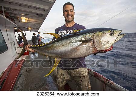 Man holding yellowfin tuna; Corpus christi texas usa View Large Photo Image Picture - Man holding yellowfin tuna; Corpus christi texas usa. Fotosearch
