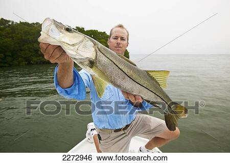 Man In A Boat Proudly Showing Off A Freshly Caught Fish; Florida, Usa View Large Photo Image Stock Photograph - Man In A Boat Proudly Showing Off A Freshly Caught Fish; Florida, Usa. Fotosearch