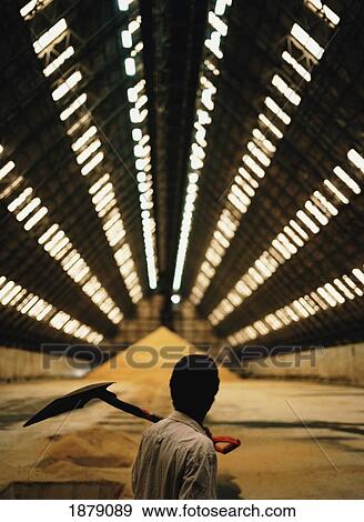 Stock Photo - Man In Grain Warehouse. Fotosearch