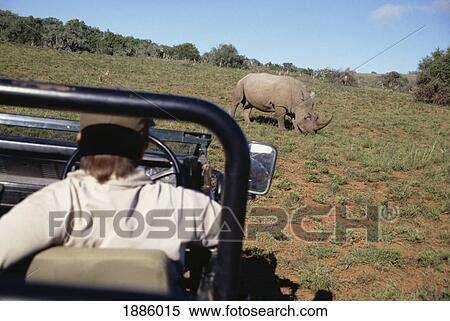 Stock Photography - Man In Safari Jeep Looking At A Rhinoceros. Fotosearch