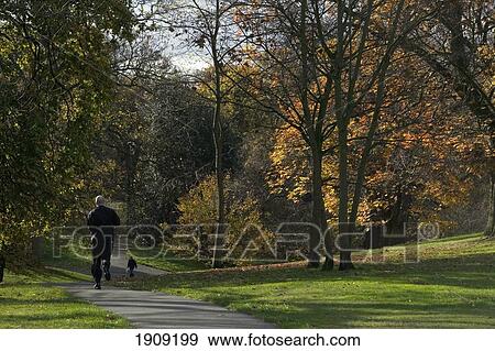 Stock Photo - Man Jogging In Greenwich Park, London, Uk. Fotosearch