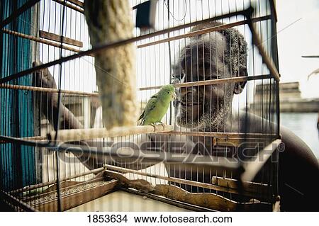 Man Looking At Parrot In Cage, Brazil View Large Photo Image Picture - Man Looking At Parrot In Cage, Brazil. Fotosearch