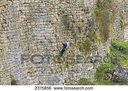Man on a rope hanging from the Outer Wall of Kuelap Fortress, Kuelap, Amazonas, Peru View Large Photo Image Stock Photograph - Man on a rope hanging from the Outer Wall of Kuelap Fortress, Kuelap, Amazonas, Peru. Fotosearch