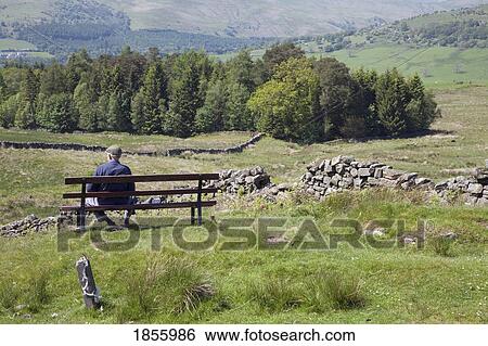 Man On Bench In Countryside, Dumfries And Galloway, Scotland View Large Photo Image Stock Photograph - Man On Bench In Countryside, Dumfries And Galloway, Scotland. Fotosearch