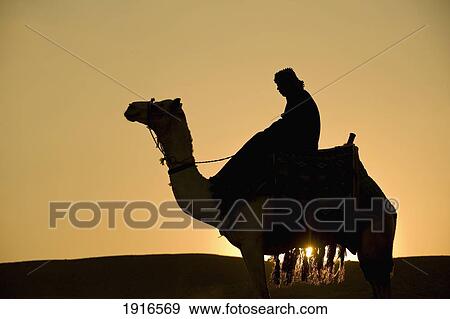 Stock Photo - Man On Camel At Dusk Near The Pyramids. Fotosearch
