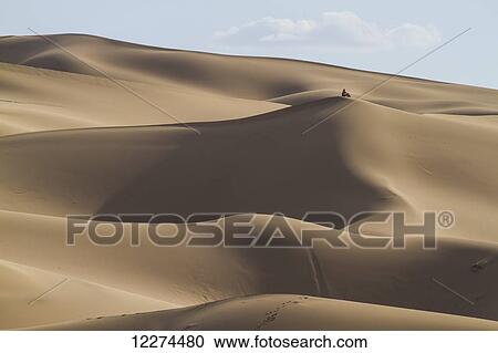 Stock Image - Man on the sand dunes of Khongoryn Els, Gobi Gurvansaikhan National Park,? mnÃƒÆ’Ã‚Â·govi Province, Mongolia. Fotosearch