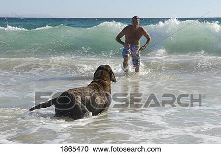 Man Playing With His Dog In The Ocean; Costa De La Luz, Andalusia, Spain View Large Photo Image Stock Image - Man Playing With His Dog In The Ocean; Costa De La Luz, Andalusia, Spain. Fotosearch
