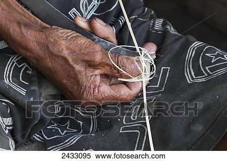 Stock Photography - Man preparing fibers for baskets, Sei Sekonyer, Central Kalimantan, Borneo, Indonesia. Fotosearch