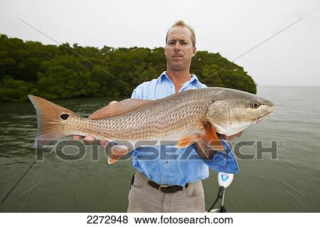 Stock Photo - Man Proudly Showing Off A Freshly Caught Fish; Florida, Usa. Fotosearch