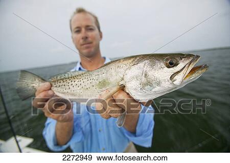 Man Proudly Showing Off A Freshly Caught Fish; Florida, Usa View Large Photo Image Stock Photo - Man Proudly Showing Off A Freshly Caught Fish; Florida, Usa. Fotosearch