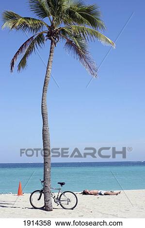 Man Relaxing On Beach View Large Photo Image Stock Photo - Man Relaxing On Beach. Fotosearch