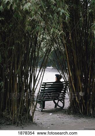 Picture - Man Resting On Bench In Bamboo Park. Fotosearch