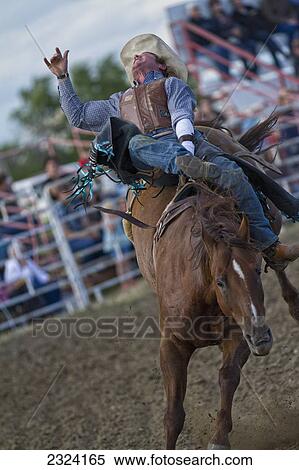 Stock Photography - Man riding a bucking bronco at a rodeo; Saskatchewan, Canada. Fotosearch