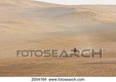 Man Riding A Horse, Giza, Al Jizah, Egypt View Large Photo Image Picture - Man Riding A Horse, Giza, Al Jizah, Egypt. Fotosearch