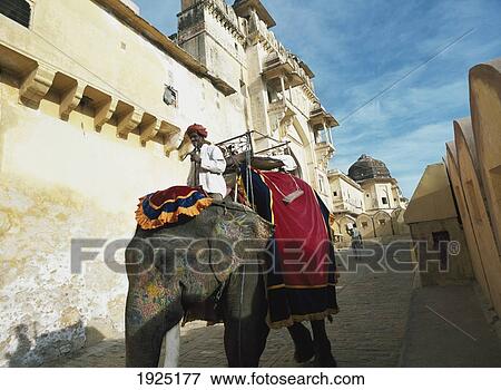 Man Riding Elephant Through Streets View Large Photo Image Stock Photo - Man Riding Elephant Through Streets. Fotosearch