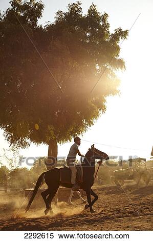 Stock Photography - Man riding Mawari horse at Castle Bijapur3 Rajasthan India. Fotosearch