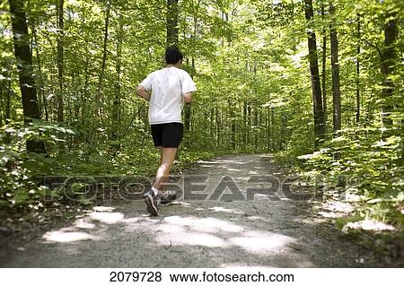 Man Running On Humber Trail, Toronto View Large Photo Image Stock Photo - Man Running On Humber Trail, Toronto. Fotosearch