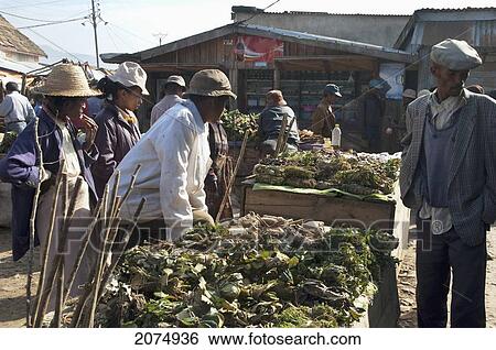 Man Selling Vegetables At The Weekly Market In Fianarantsoa, Madagascar View Large Photo Image Stock Photograph - Man Selling Vegetables At The Weekly Market In Fianarantsoa, Madagascar. Fotosearch