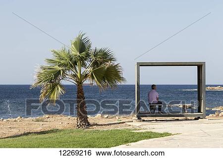 Stock Photograph - Man sits in a shaded shelter beside a palm tree at the water's edge; Paphos, Cyprus. Fotosearch