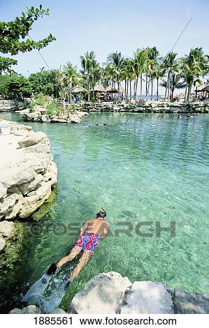 Man Snorkeling View Large Photo Image Stock Image - Man Snorkeling. Fotosearch