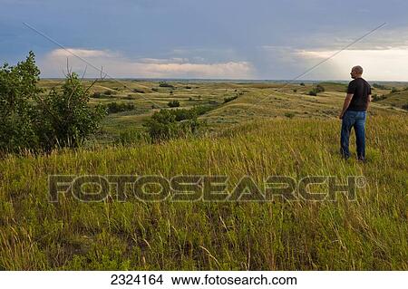 Man standing on a hillside watching a storm as it passes by him at the Great Sandhills; Saskatchewan, Canada View Large Photo Image Picture - Man standing on a hillside watching a storm as it passes by him at the Great Sandhills; Saskatchewan, Canada. Fotosearch
