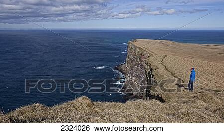 Man standing on the sea cliffs of Latrabjarg Peninsula; Iceland View Large Photo Image Stock Photograph - Man standing on the sea cliffs of Latrabjarg Peninsula; Iceland. Fotosearch