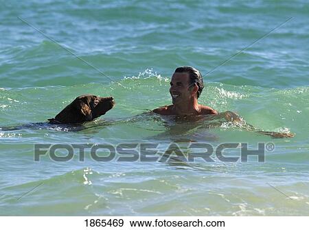 Man Swimming With His Dog In The Ocean View Large Photo Image Stock Photo - Man Swimming With His Dog In The Ocean. Fotosearch