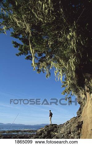 Stock Photo - Man Under Coastal Overhang, Pacific Rim National Park; Vancouver Island, British Columbia, Canada. Fotosearch