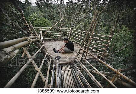 Man Using A Laptop In A Remote Tribal Village On Bamboo Tree Top Canopy Platform In Forest View Large Photo Image Stock Photo - Man Using A Laptop In A Remote Tribal Village On Bamboo Tree Top Canopy Platform In Forest. Fotosearch