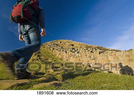 Man Walking Along Hadrian's Wall View Large Photo Image Stock Photo - Man Walking Along Hadrian's Wall. Fotosearch