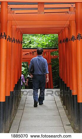Man Walking Amongst Tori Gates At Shrine In Ueno Park View Large Photo Image Stock Image - Man Walking Amongst Tori Gates At Shrine In Ueno Park. Fotosearch