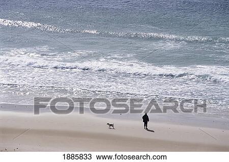 Man Walking Dog Along The Beach, High Angle View View Large Photo Image Stock Image - Man Walking Dog Along The Beach, High Angle View. Fotosearch