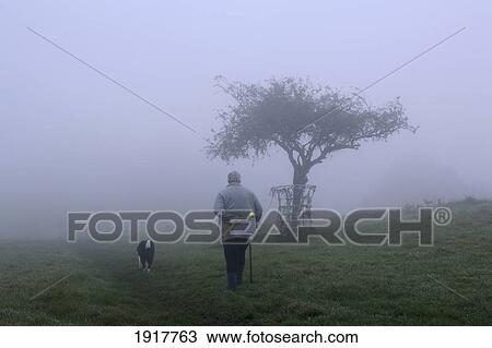 Man Walking Dog On Wearyall Hill View Large Photo Image Stock Image - Man Walking Dog On Wearyall Hill. Fotosearch