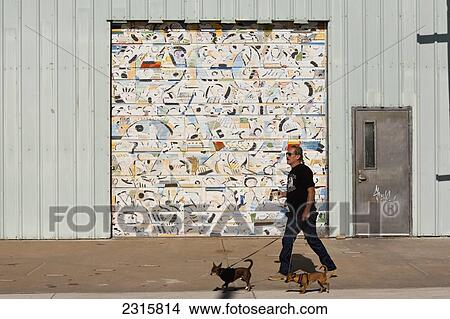 Man walking his dogs down sidewalk beside colorful, designed garage door; Santa Fe, New Mexico, USA View Large Photo Image Picture - Man walking his dogs down sidewalk beside colorful, designed garage door; Santa Fe, New Mexico, USA. Fotosearch