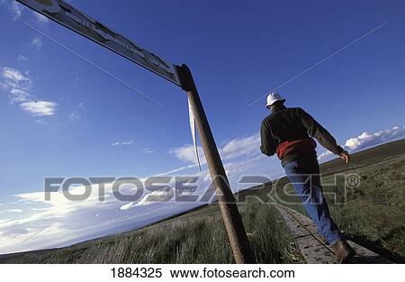 Man Walking In Countryside Along Millennium Way Footpath View Large Photo Image Stock Photography - Man Walking In Countryside Along Millennium Way Footpath. Fotosearch