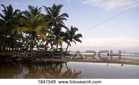 Stock Photo - Man Walking On Beach In Kerala; Arabian Sea, Kerala, India. Fotosearch