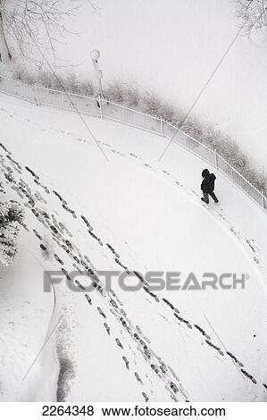 Man walking on fresh snow; toronto ontario canada View Large Photo Image Stock Photo - Man walking on fresh snow; toronto ontario canada. Fotosearch