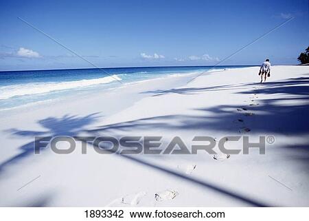 Man Walking On Idyllic Sandy Beach View Large Photo Image Stock Image - Man Walking On Idyllic Sandy Beach. Fotosearch