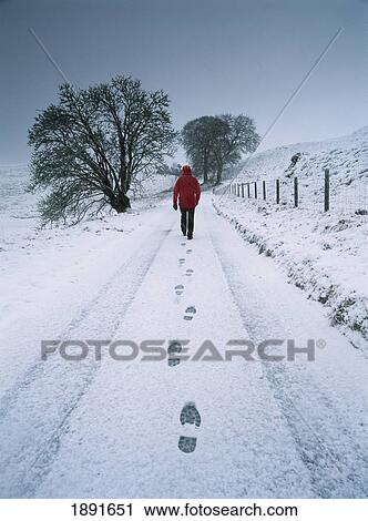 Stock Image - Man Walking On Rural Road In Fresh Snow, Rear View. Fotosearch