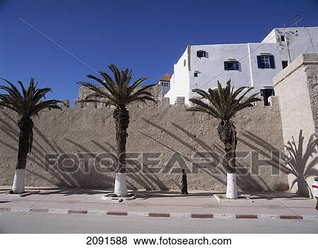 Stock Photo - Man Walking Past Date Palms And The City Walls Of Essaouira, Morocco.. Fotosearch