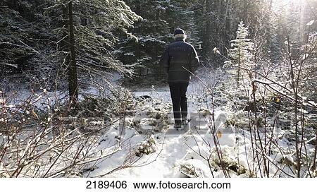 Man Walking Through A Snowy Forest On A Bright Sunny Day In Winter, Canmore, Alberta, Canada View Large Photo Image Stock Photograph - Man Walking Through A Snowy Forest On A Bright Sunny Day In Winter, Canmore, Alberta, Canada. Fotosearch