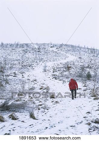 Man Walking Up Hill In Snow, Rear View View Large Photo Image Stock Image - Man Walking Up Hill In Snow, Rear View. Fotosearch