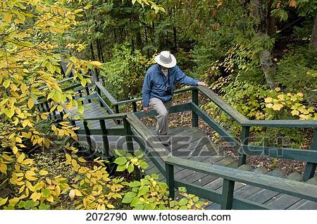 Man Walking Up Stairs In Woods, Grand Falls, New Brunswick View Large Photo Image Stock Image - Man Walking Up Stairs In Woods, Grand Falls, New Brunswick. Fotosearch