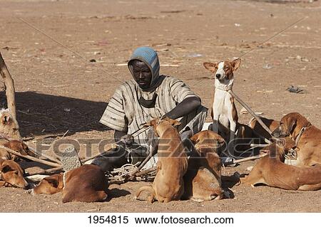 Man with dogs near the Bani River, Mali View Large Photo Image Stock Photography - Man with dogs near the Bani River, Mali. Fotosearch