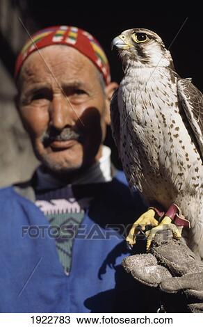 Stock Image - Man With Falcon. Fotosearch
