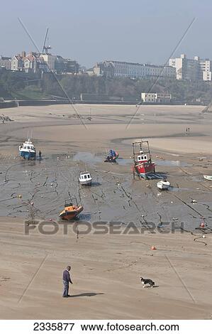 Stock Photo - Man With His Dog On North Beach; Tenby, Pembrokeshire Coast Path, Wales, United Kingdom. Fotosearch