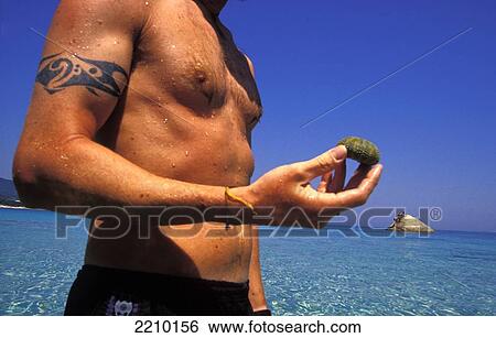 Stock Photograph - Man With Tattoo Holding Urchin Shell Near Ocean, Sithonia, Halkidiki, Greece. Fotosearch